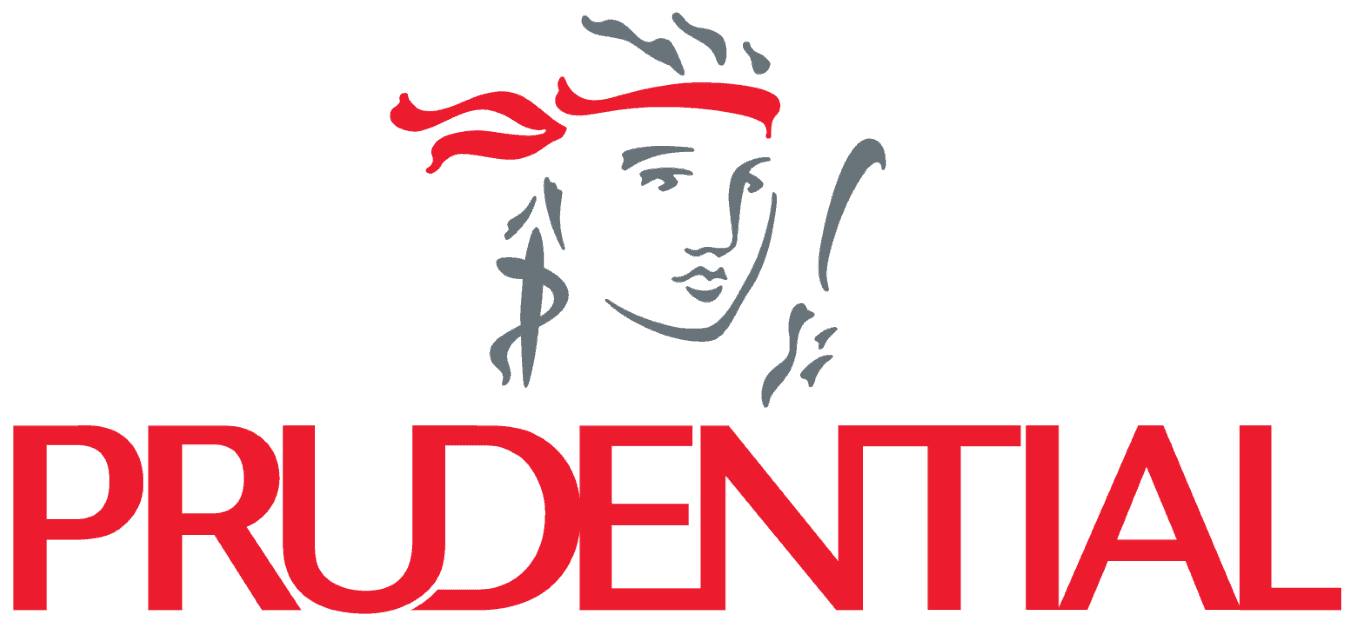 null logo